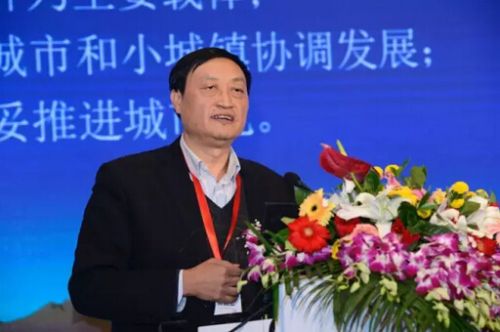 肖金成副會長:十三五時期的城鎮(zhèn)化與城市群發(fā)展