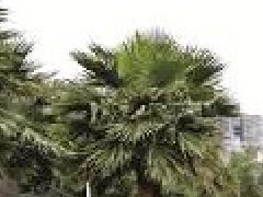 湖南常德召開(kāi)“十四五”規(guī)劃 基本思路座談