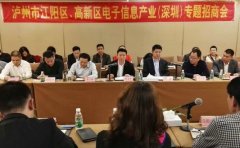 江陽(yáng)區(qū)、瀘州國(guó)家高新區(qū)在深圳開(kāi)展專題招商