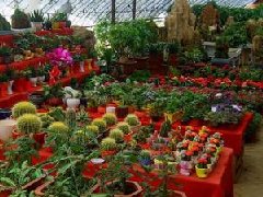 通遼市“十四五”規(guī)劃綱要通過(guò)評(píng)審