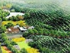 打造“零碳園區(qū)”？生態(tài)環(huán)境部公布第一批試點產(chǎn)業(yè)園區(qū)名單