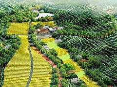 成都簡陽：規(guī)劃引領 打造臨空經濟產業(yè)生態(tài)圈