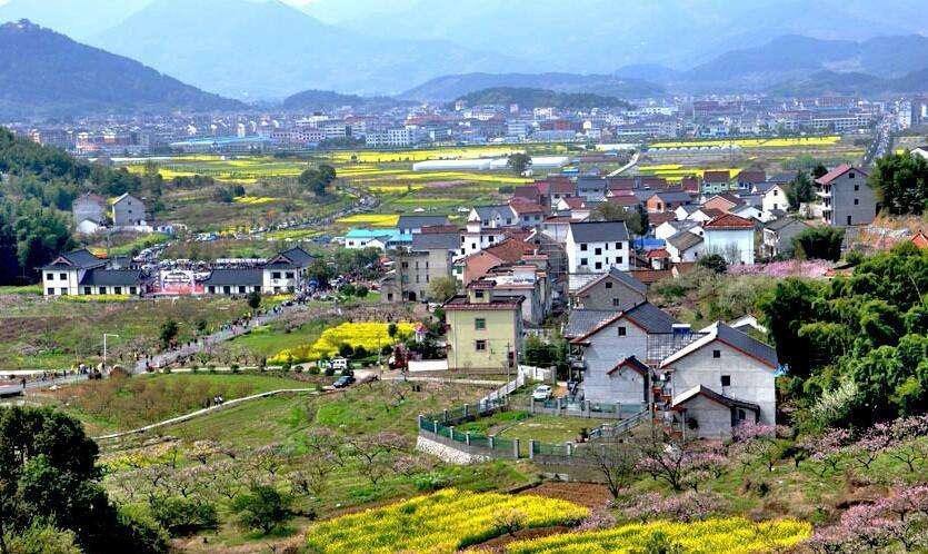 馬曉河 涂圣偉:實現農民富、農業(yè)強、農村美的路線圖