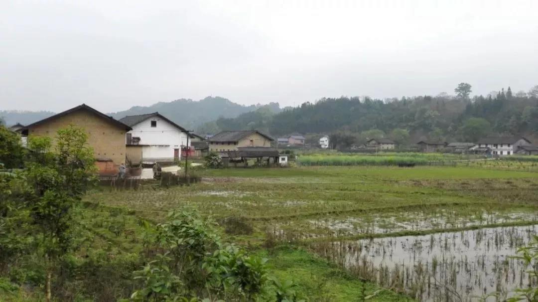 《云南楚雄國家農(nóng)業(yè)科技園區(qū)“十四五” 發(fā)展規(guī)劃》經(jīng)州人民政府審定印發(fā)實(shí)