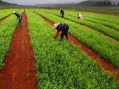 安平縣召開“十四五規(guī)劃”編制和“多規(guī)合一”工作調(diào)度會(huì)！