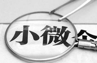國務院關于進一步支持小型微型企業(yè)健康發(fā)展的意見