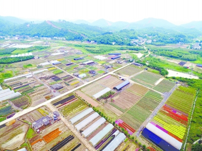 以“一帶一部”新戰(zhàn)略提升湖南發(fā)展新優(yōu)勢