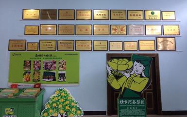 “芒果百色,香飄百地” 國內(nèi)首家芒果精深加工特色產(chǎn)業(yè)基地申報(bào)進(jìn)行時(shí)