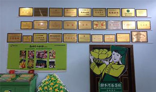 “芒果百色，香飄百地” 國內(nèi)首家芒果精深加工特色產(chǎn)業(yè)基地申報(bào)進(jìn)行時(shí)