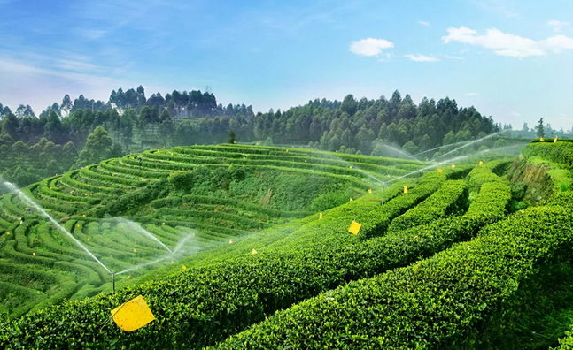 2019年國(guó)家先給錢(qián)后建設(shè)的4類(lèi)農(nóng)業(yè)產(chǎn)業(yè)項(xiàng)目，最多補(bǔ)貼1個(gè)億