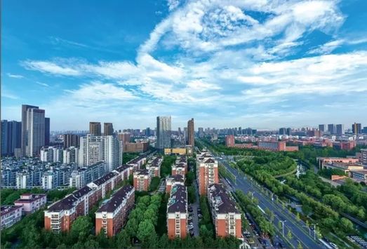 嘉興經開區大力推進“綠城花?！苯ㄔO