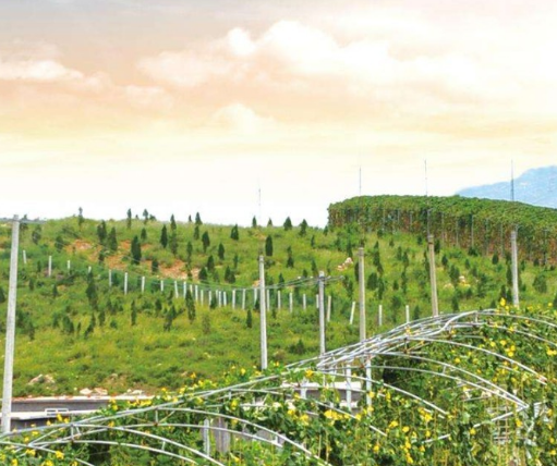 農(nóng)業(yè)農(nóng)村部辦公廳 財(cái)政部辦公廳關(guān)于開展國家現(xiàn)代農(nóng)業(yè)產(chǎn)業(yè)園創(chuàng)建績效評價(jià)和