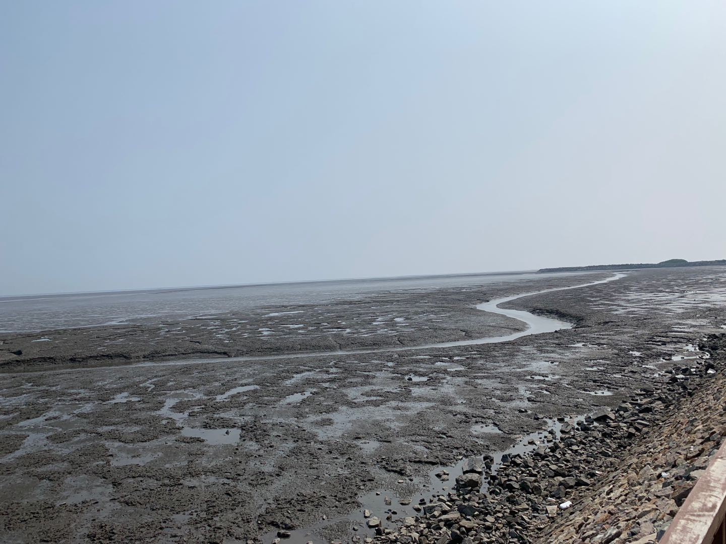 依托貝類優(yōu)勢(shì)，遼寧省東港市積極創(chuàng)建省級(jí)現(xiàn)代農(nóng)業(yè)產(chǎn)業(yè)園