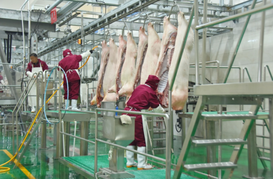 錦繡“五彩農業”，高平市爭創國家 現代農業產業園吹響集結號