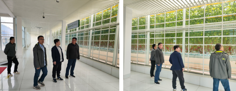 加強農(nóng)業(yè)產(chǎn)業(yè)布局規(guī)劃，民樂縣向農(nóng)業(yè)強縣進發(fā)