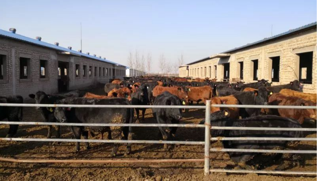 高新院賦能祁縣：雙輪驅動鑄就現代農業產業園標桿